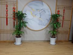 -上海天眷律师事务所