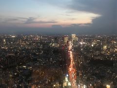 -六本木新城展望台(东京城市景观)