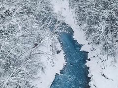 -青池