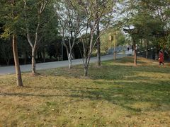 -梁鸿国家湿地公园