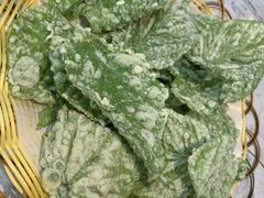 -紫藤园·天目湖大鱼头(南山竹海店)
