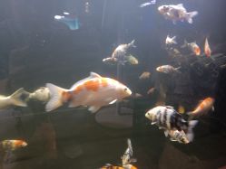 -青木造型HAIR·あおき髪を刈る潮人店