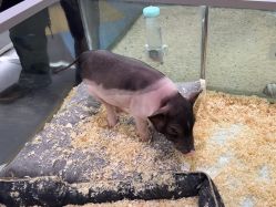 -meland亲子乐园•派对•研学(苏州悠方购物中心店)