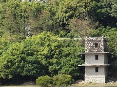 -华侨城湿地公园