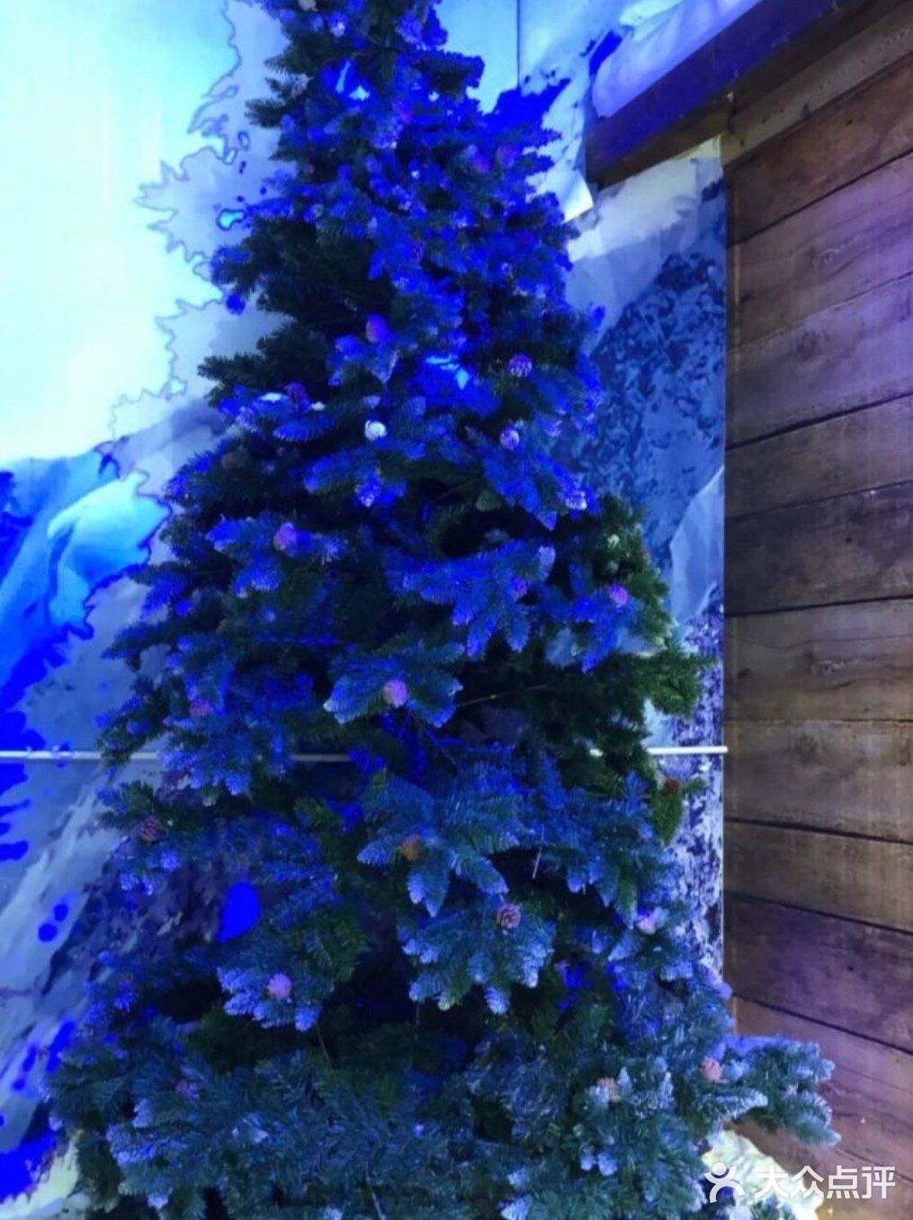 夏天太热？溜娃就来冰雪乐园吧！