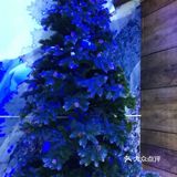 夏天太热？溜娃就来冰雪乐园吧！