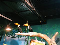 -萌宠奇缘