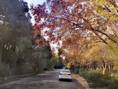 -胜华驾校·小猫学车(银都店)