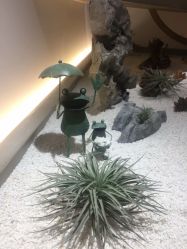 -松和日式美容整骨