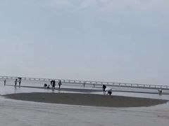 -南汇嘴观海公园