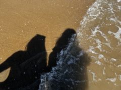 -东疆理想海岸沙滩景区