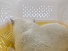 -美联众合24小时·皮肤科·外科·全科诊疗中心(华苑分院)