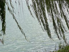 -高子水居