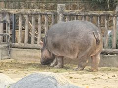 -昆明动物园