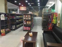 -天使宠物医院·犬猫分诊(彩虹店)