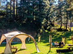 -顺城金记卤鸡·清真