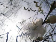 -月坛公园