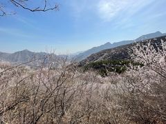 -妙峰山风景名胜区