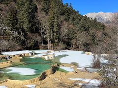 -黄龙山原始森林景区