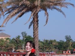 -九龙湖公园