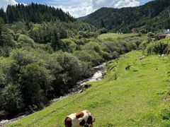 -芦芽山旅游度假区