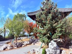 -东钱湖小普陀景区