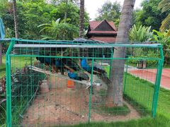 -西双版纳融创皇冠假日度假酒店