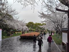 -堤角公园