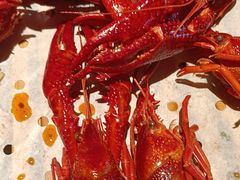 -巴厘龙虾·榜首油焖大虾(音乐学院·沿江酒馆店)