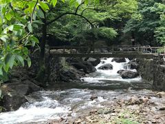 -白云源风景区