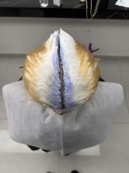 -YESIDO椰岛造型