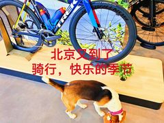 -日本大使馆-新闻文化中心