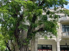 -赤坎·广东华侨国际旅游度假区