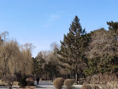 -长春市南湖公园