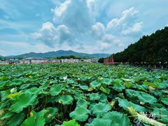 -毛泽东才溪乡调查旧址景区