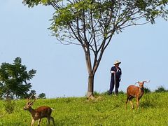 -良渚古城遗址公园