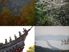 -八卦田遗址公园