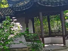 -上海醉白池公园