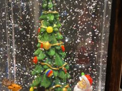 -春熙台韩国料理·章鱼肥牛(西丽店)