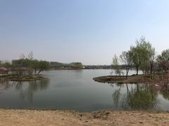 -东郊湿地公园
