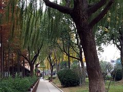 -太湖湖滨国家湿地公园-停车场