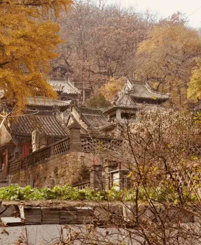 吴姑古城-"整个古城的建筑是非常的结实的,整个建筑面.