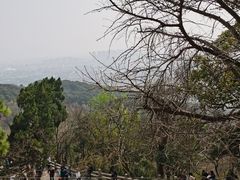 -灵岩山风景区