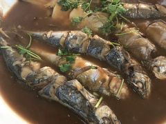 -渔家小院观海海肠捞饭地方菜(环海中路店)