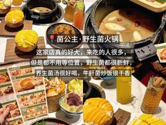 -西双版纳傣族园