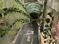 -大连天门山国家森林公园