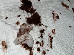 -北京派仕佳德动物医院·超导核磁·CT·神经科·骨科·内外科·急重症管理中心