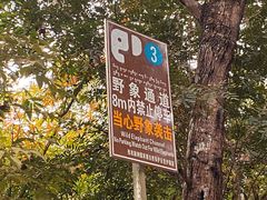 -野象谷景区