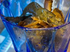 -小天鹅戴斯酒店鲸鲨百汇创作料理