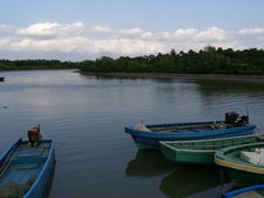 -东寨港红树林旅游区